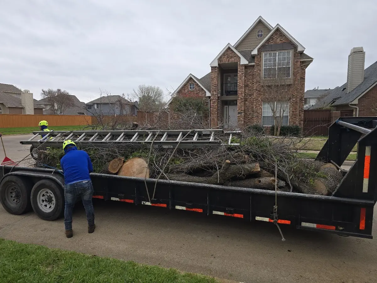 Expert Tree Removal with proper safety equipment in Tuntutuliak